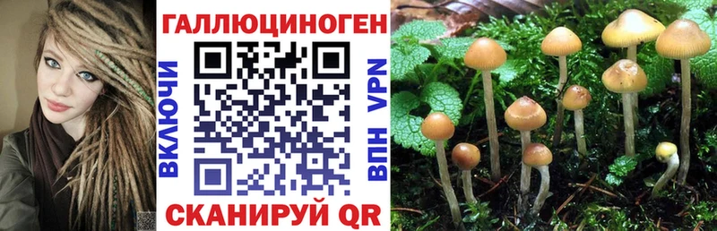 Псилоцибиновые грибы MAGIC MUSHROOMS  KRAKEN как войти  Обоянь  купить наркотик 